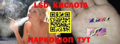 шишки Будённовск