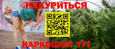 шишки Будённовск