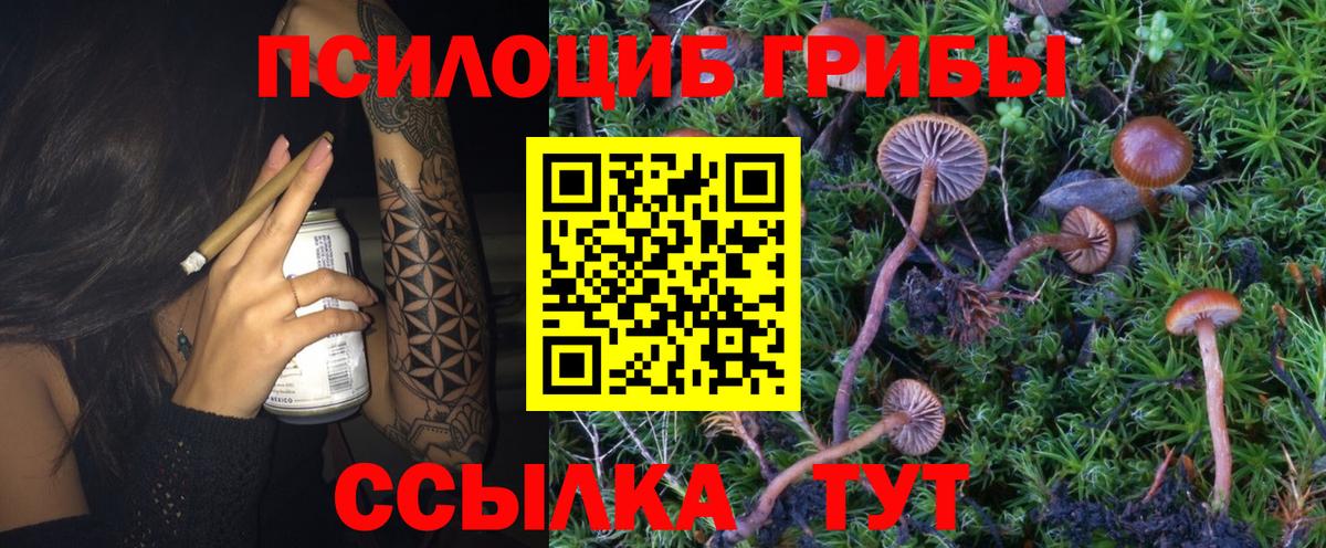 Магнитогорск  Псилоцибиновые грибы Cubensis  Вход с VPN 